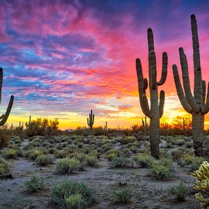 Arizona Desert Wall Art Saguaro Sunset Print Large Arizona - Etsy