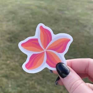 Plumeria | Tropical Flower