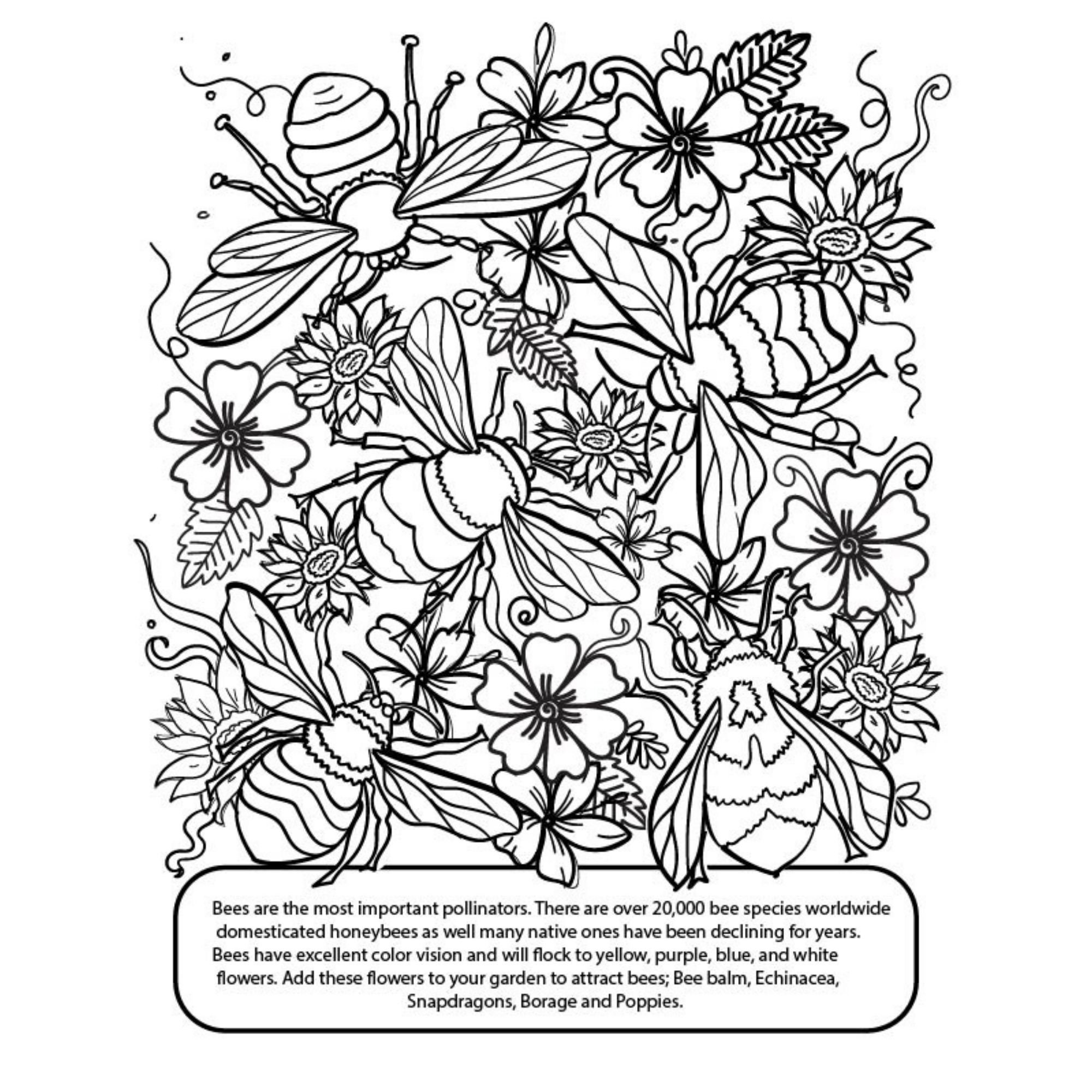 garden-pollinators-coloring-page-herb-plant-coloring-page-etsy