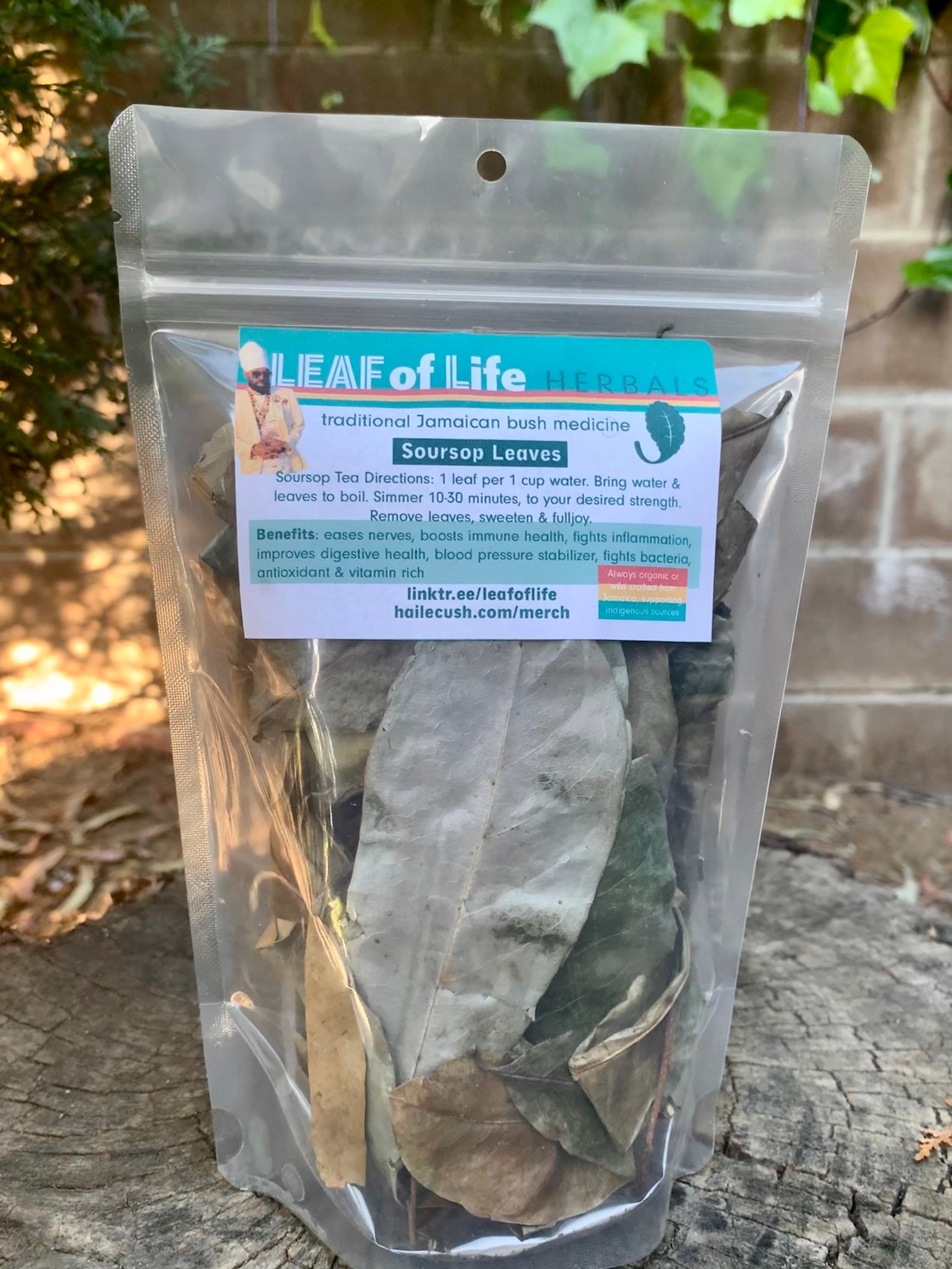 Soursop Traditional Jamaican Bush Medicine Tea From Jamaica Etsy