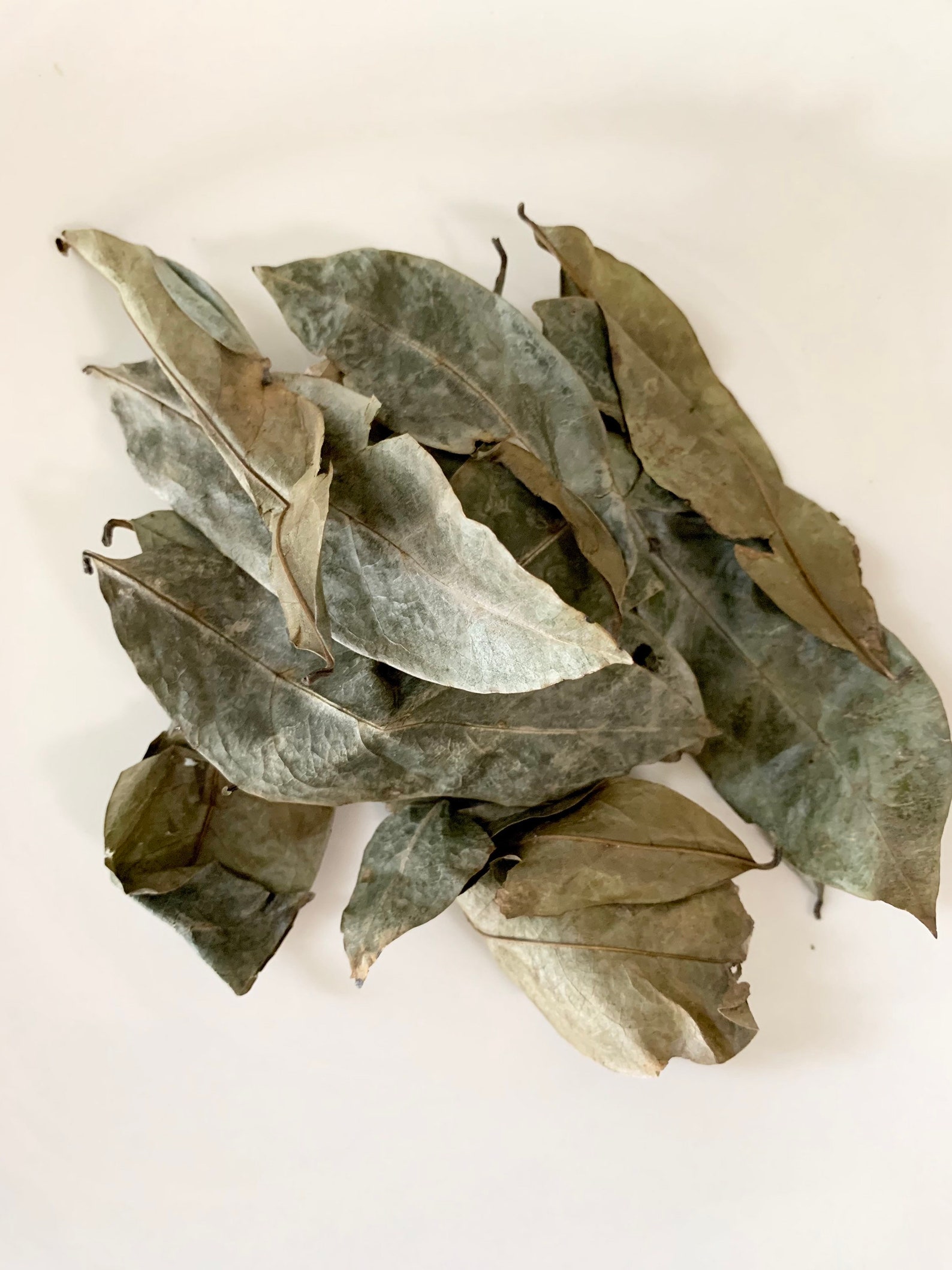 Soursop Traditional Jamaican Bush Medicine Tea From Jamaica Etsy