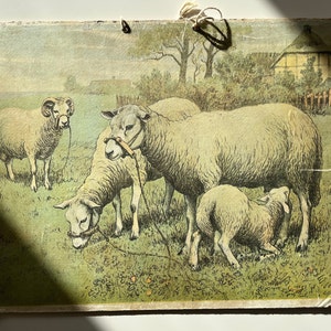 ILUSTRACIÓN DE CARTA ESCOLAR ANTIGUA, doble cara, oveja/cordero y cerdo/lechón, litografía, vida en la granja, estilo shabby chic