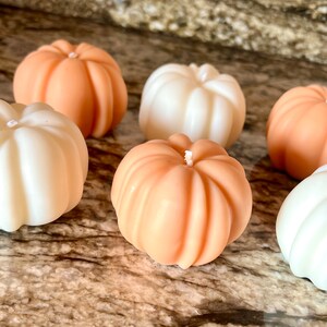 Pumpkin Patch Collection