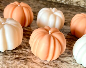 Pumpkin Patch Collection
