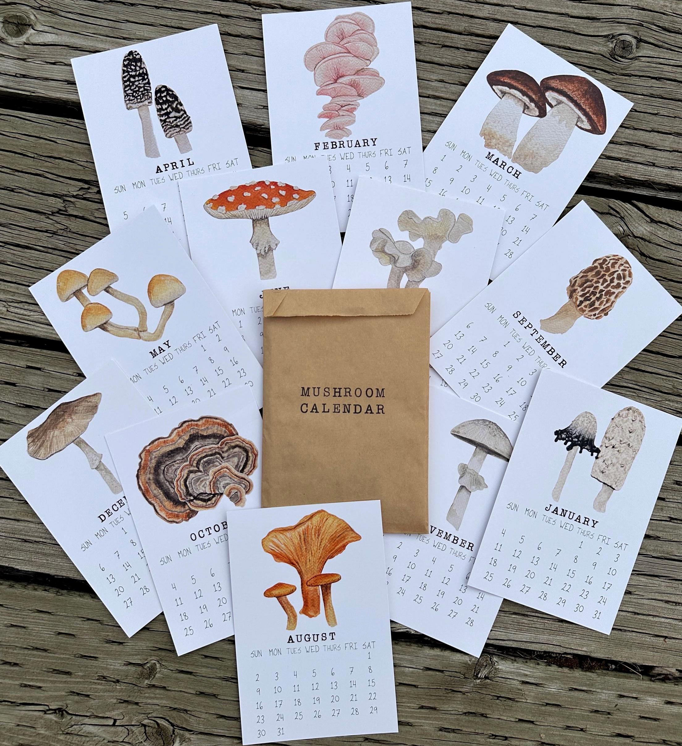 2026 Mushroom Calendar Etsy Canada