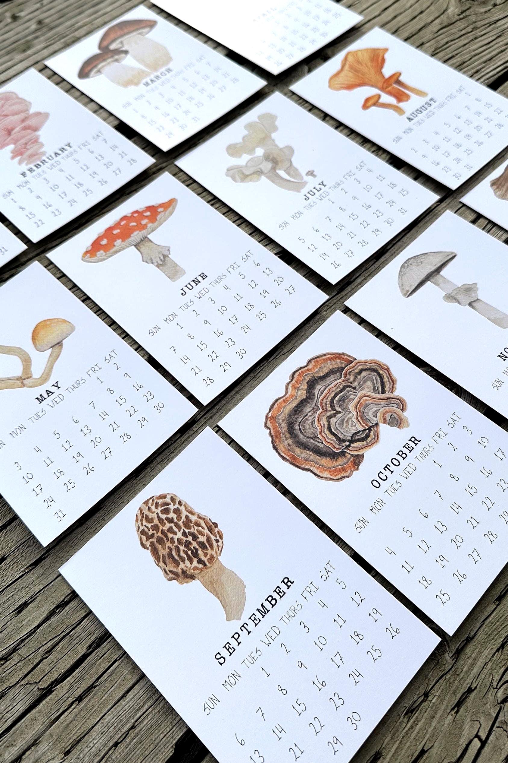 2026 Mushroom Calendar Etsy Canada