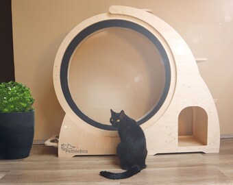 buy cat exercise wheel