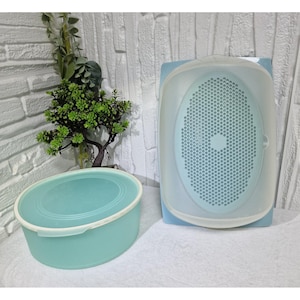 May include: Two vintage, light blue plastic containers with white lids. One is oval-shaped with a perforated insert, and the other is a rectangular container. The containers are on a white surface.