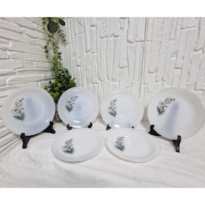 Set of 6 Vintage Arcopal France Daisy Plates - Milk White Opal Glass Dinnerware - Retro Floral Plates - Opal Glass