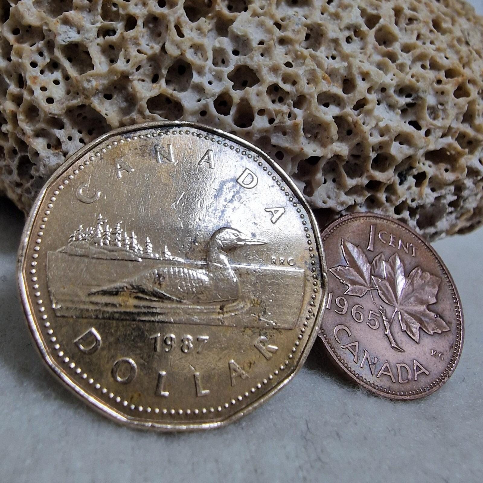 カナダダラーコイン新品4枚 1987 canada dollar - Etsy 日本