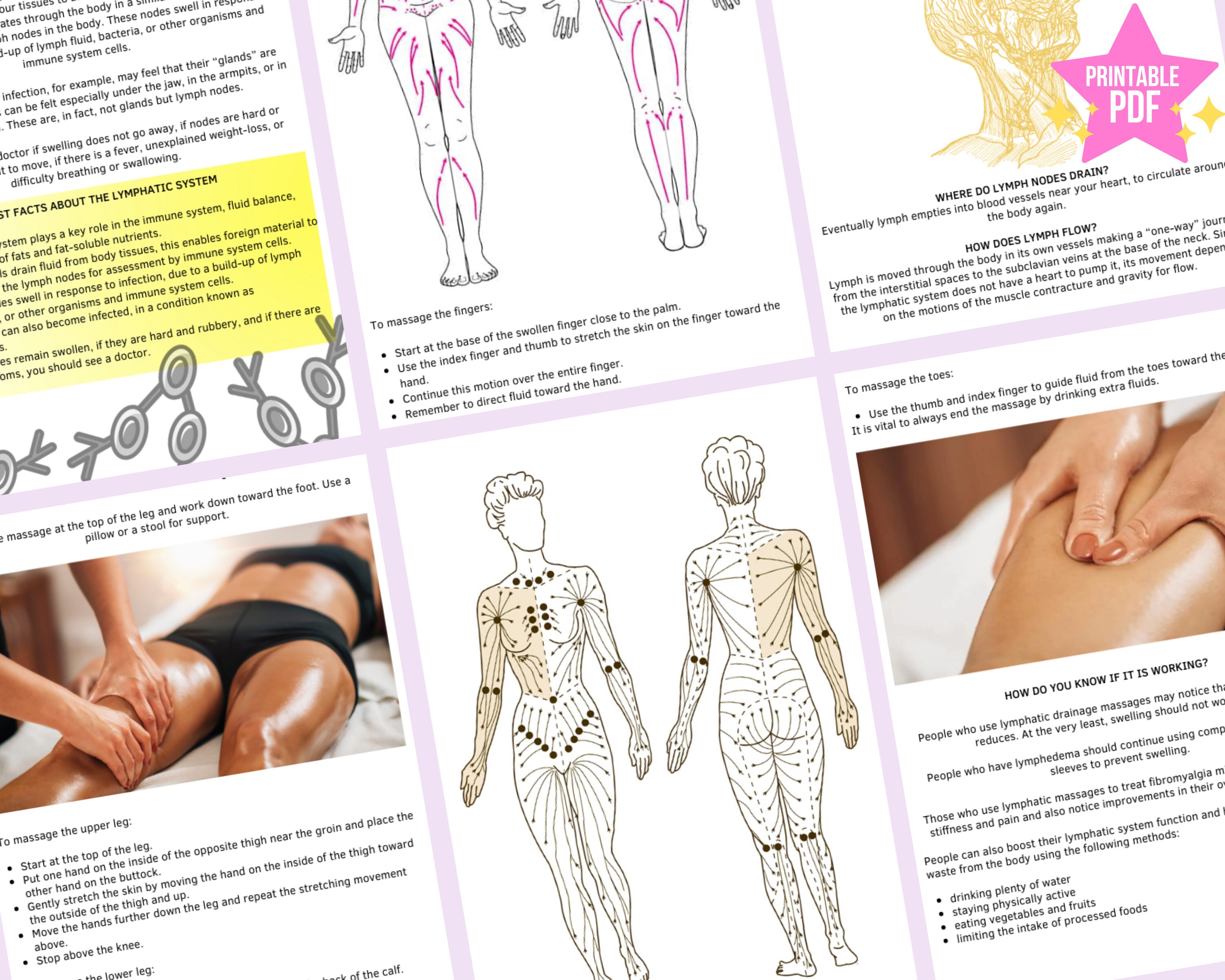 Manual Lymphatic Drainage Ebook Body Contouring Lymphatic Etsy