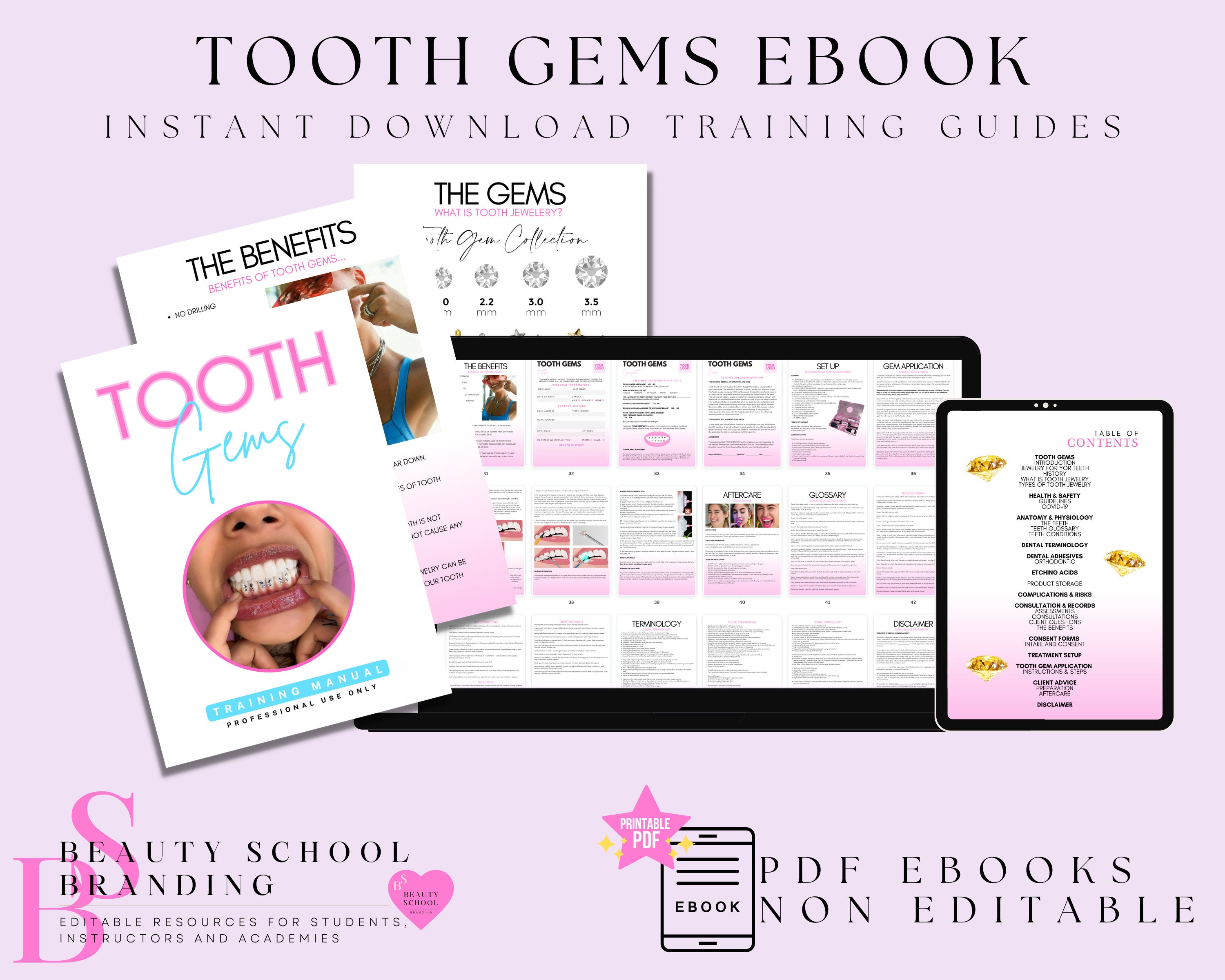 Student Tooth Gems Class Handout Notes, Revision Theory Add Ons,  Information Sheet, Tooth Gems Protocols Reference Sheet, Editable in Canva  -  Sweden