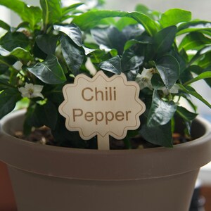 Herb Plant Markers Set: Plant Stakes Tags Garden Gift. Set of 6 (add more with option). Perfect gift!