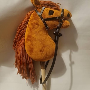 Könnte beinhalten: Ein braunes Plüsch-Schaukelpferd mit schwarzem Lederzaumzeug und Zügeln. Das Pferd hat eine lange, braune Mähne und einen Schwanz. Das Pferd ist auf einem Holzstock montiert.