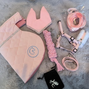 Op de afbeelding: Een verzameling roze paardensportaccessoires, waaronder een zadeldek met zilveren rand en een paardenhoofdlogo, een oornetje, een halster, een longe en een klein zwart zakje met een paardenhanger. Op een zacht, grijs oppervlak.