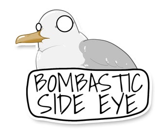 Seagull Steve BOMBASTIC SIDE EYE Vinyl Stickers