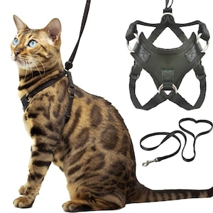 Houdini™ Escape-Resistant Cat Harness and Leash Set - Lightweight, Choke-Free, and Adjustable with Easy On Design - By OutdoorBengal