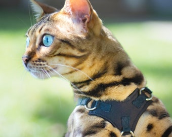 Houdini Escape-Resistant Set aus Katzengeschirr und Leine - leicht, verstellbar, erstickungsfrei