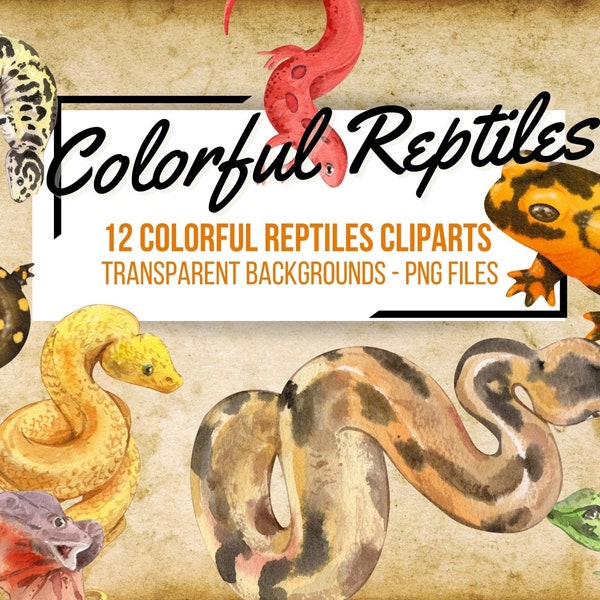 18 REPTILES Clipart - Instant Download, transparent, Lezards, snakes, Gecko, Colorful lezard, Tropical animals, Chameleon