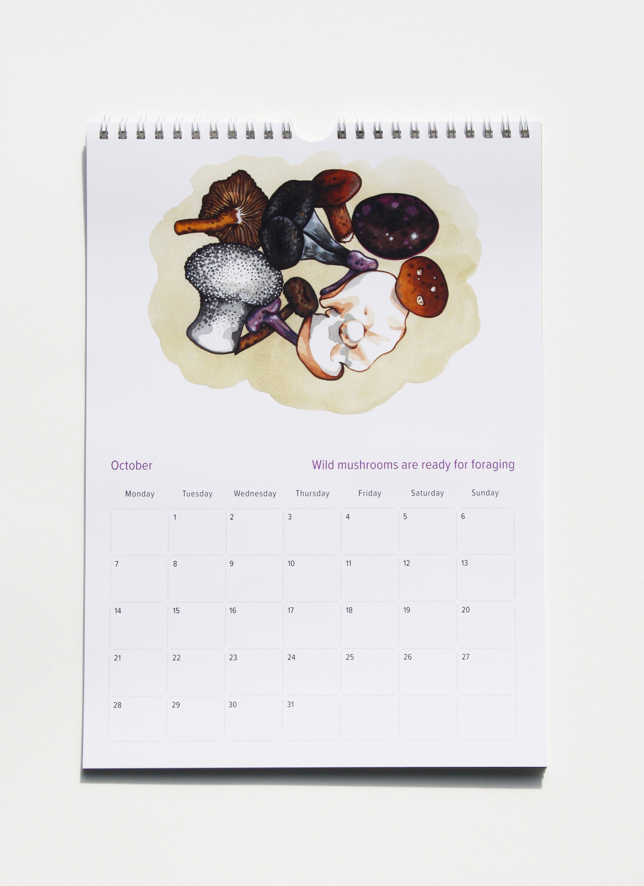 2024 Isle of Wight Calendar — Lilly Louise Allen
