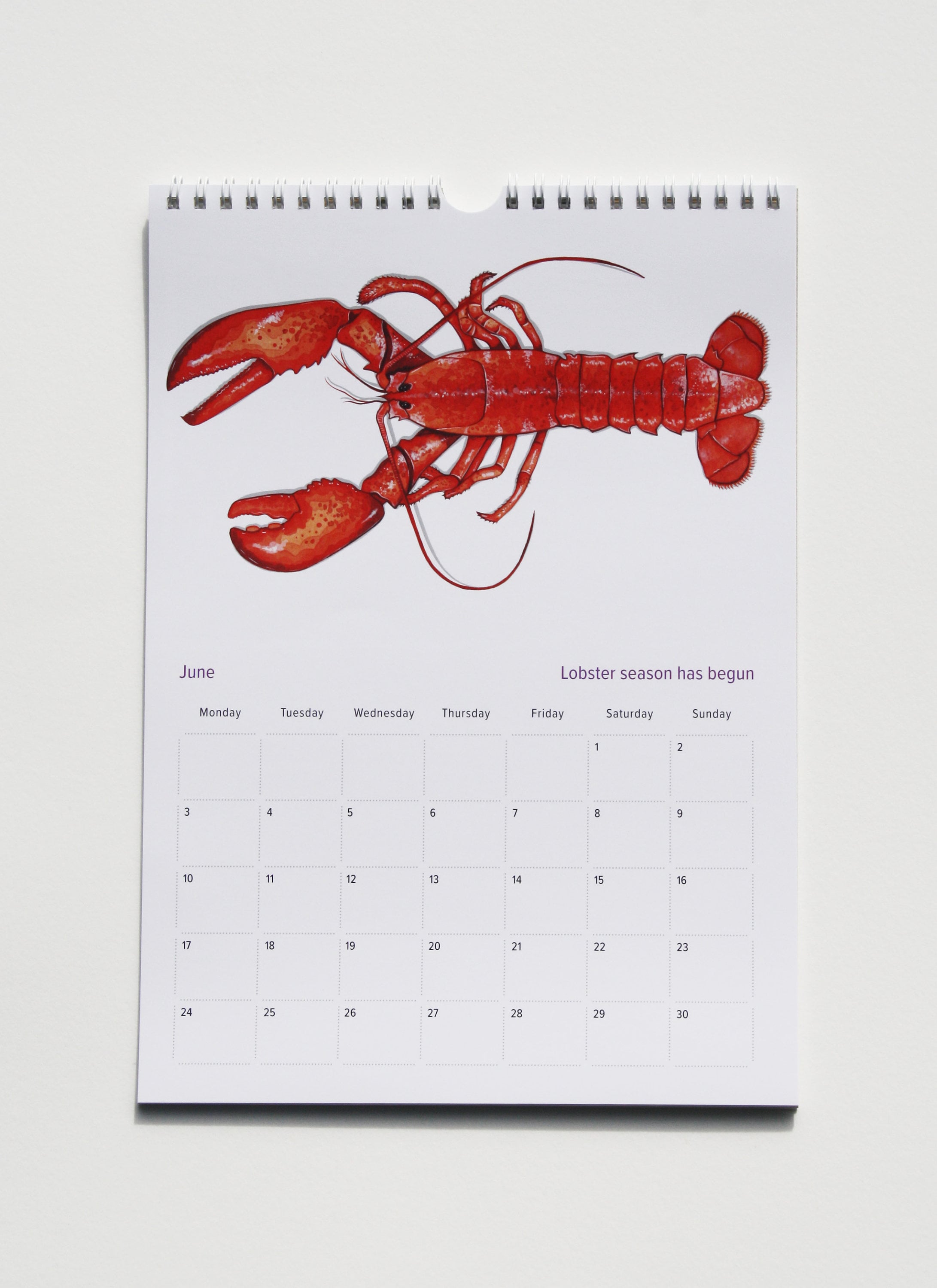 2024 Isle of Wight Calendar — Lilly Louise Allen