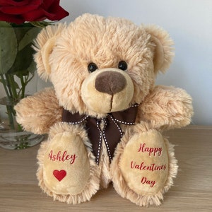 Valentine’s Day Teddy Bear Gift