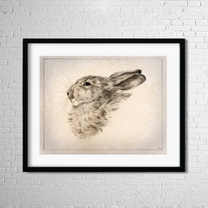 Rabbit Illustration, Printable Wall Art, Rabbit Decor, Rabbit Digital Image, Vintage Art, Bunny Print, Printable Digital, Wall Art, Eclectic