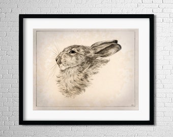 Rabbit Illustration, Printable Wall Art, Rabbit Decor, Rabbit Digital Image, Vintage Art, Bunny Print, Printable Digital, Wall Art, Eclectic