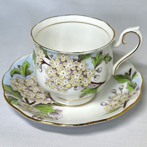 Flower of the Month Hawthorn Cup and Saucer by Royal Albert, #5 May Teacup Hawthorn, English Bone China Teacup Set, 1950s
