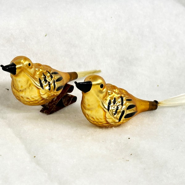 Mercury Glass Golden Birds Clip-on Ornaments, Two Vintage German Bird Ornaments with Spun Glass Tails