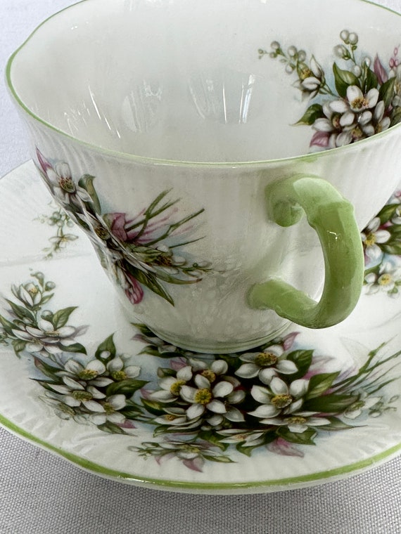 ロイヤル・アルバート・シェリー ティーカップセット：オレンジ