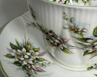 ロイヤル・アルバート・シェリー ティーカップセット：オレンジ