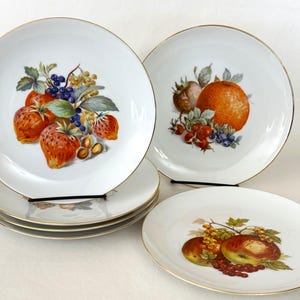 1940&#39;s German Porcelain Fruit Plates – Set of Six Decorative Dessert Plates by Winterling Bavaria