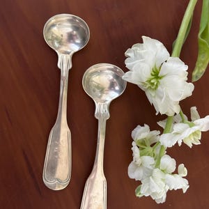 Antique Master Salt Spoons, 19th Century Sheffield Silver Spoons
