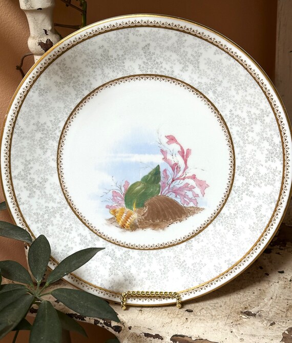 【 WORCESTER】プレート　キャビネット ROYAL WORCESTER】プレートキャビネット