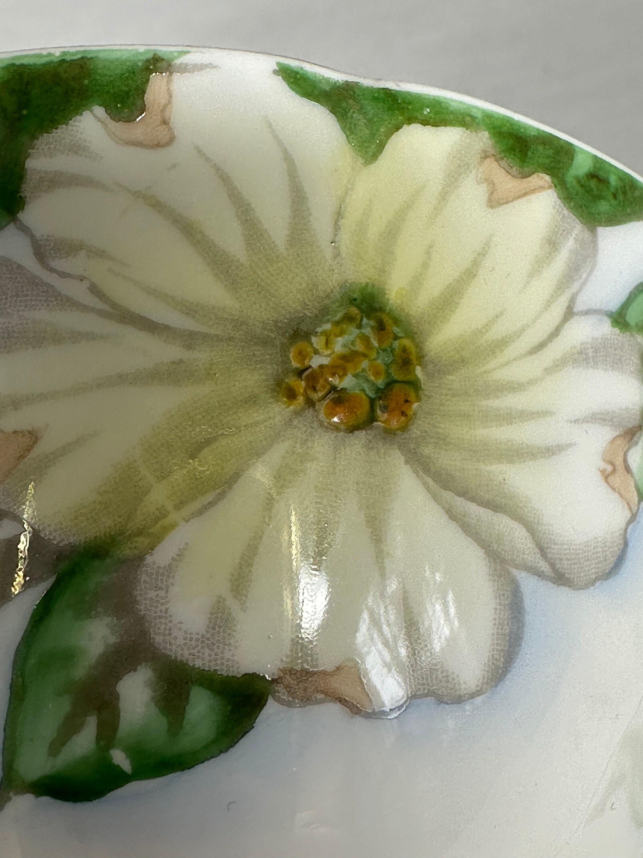 イエロードッグウッドティーカップ：英国製ボーンチャイナのカップ