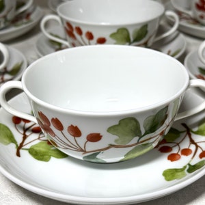 Richard Ginori Red Currant Soup Bowl & Saucer Set - Made in Italy