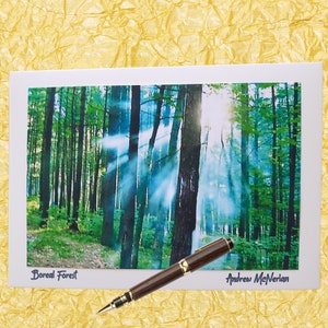 Cartes de vœux avec photo - Forêt boréale canadienne - Vierge à l’intérieur.