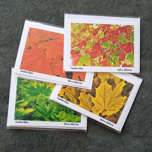 Cartes de vœux photo - Florale, pittoresque, Forêts, Feuillage - Ensembles de 4 cartes ou individuelles disponibles - Vierge à l’intérieur.