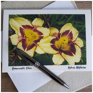 Cartes de vœux photo - Floral - Vierge à l’intérieur.