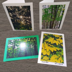 Cartes de vœux photo - Florale, pittoresque, Forêts, Feuillage - Ensembles de 4 cartes ou individuelles disponibles - Vierge à l’intérieur.