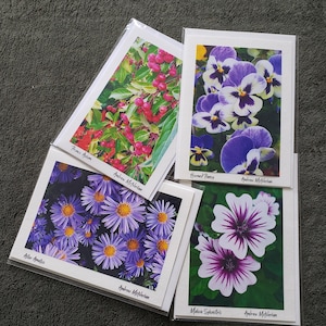 Cartes de vœux photo - Florale, pittoresque, Forêts, Feuillage - Ensembles de 4 cartes ou individuelles disponibles - Vierge à l’intérieur.