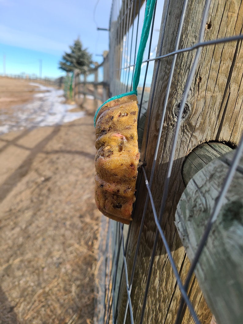 Hanging Horse Treats Etsy