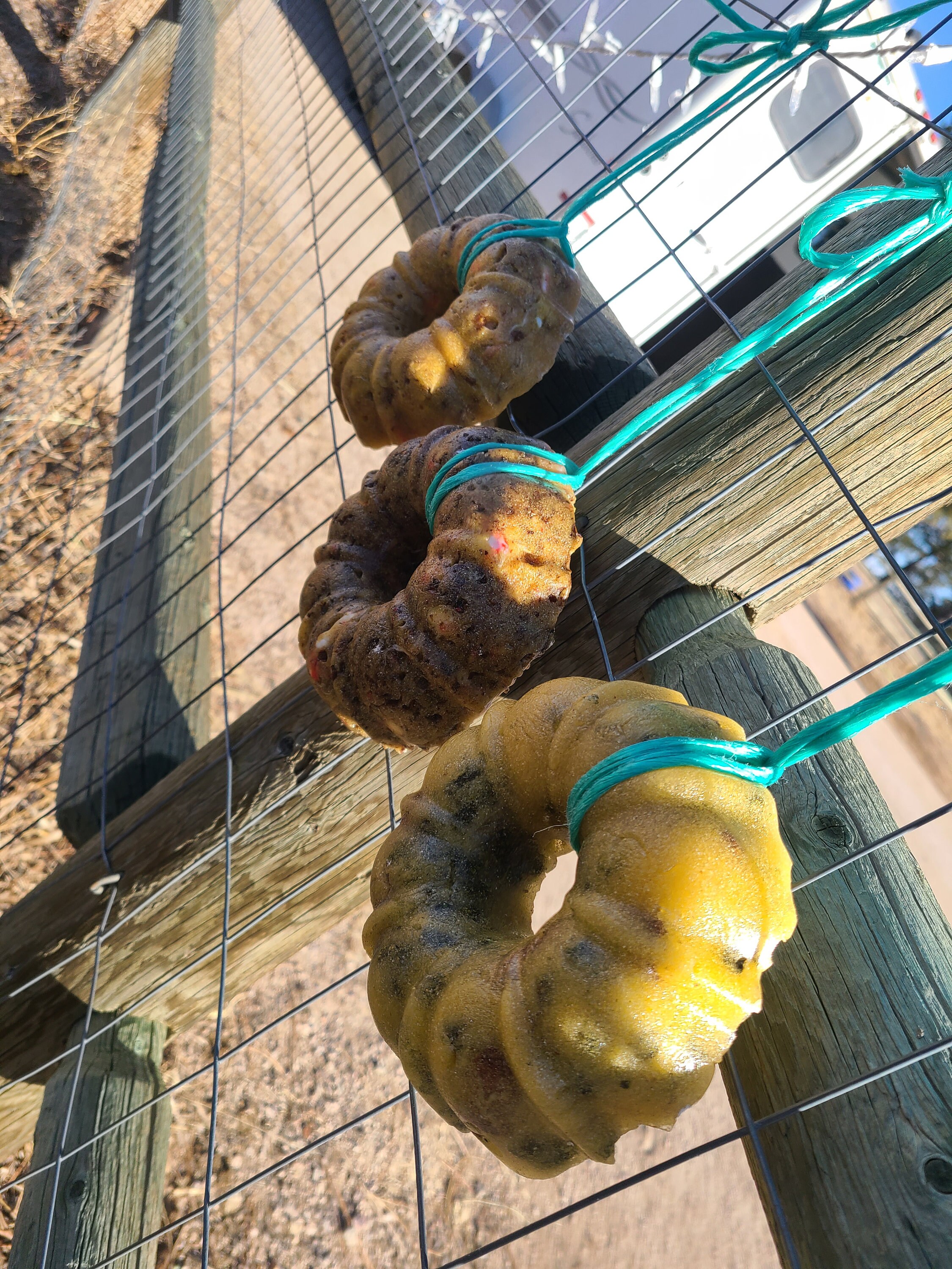 Hanging Horse Treats With Electrolytes Etsy