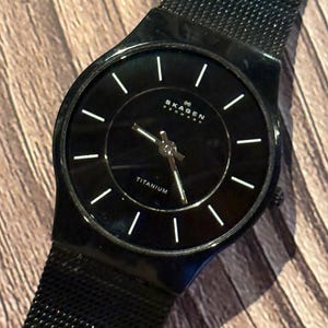 Skagen Titanium Watch - Etsy display picture 1