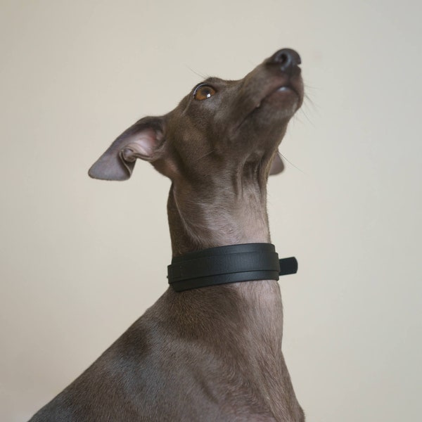 BioThane® Collar For Greyhound, Wide Collar, Hundehalsband, Comfortable, Durable, Vegan, Waterproof, Odor Resistant, Windhundehalsband