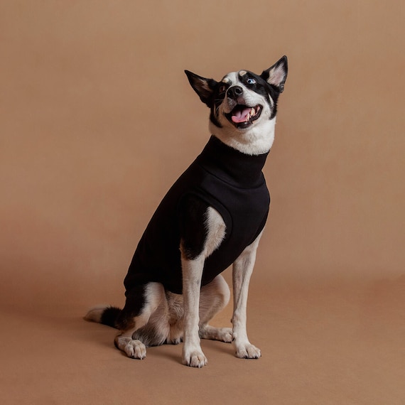 Black Turtleneck Sweatshirt High quality Cotton Fabric Warm and Comfortable For mixed breeds and pedigree dogs Range of sizes