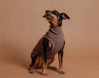 Cotton Turtleneck Sweatshirt| Taupe Brown | High-quality Fabric | Warm and Comfortable | For mixed-breeds and pedigree dogs | Range of sizes