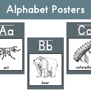 Alphabet Posters | Animal Alphabet | Classroom Posters | Classroom Decor | Bulletin Board | Classroom Display