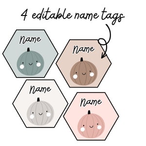 May include: Four editable name tags featuring a cute pumpkin design. Each tag has a hexagon shape with a light blue, brown, gray, or pink background. The text "Name" is written on each tag.